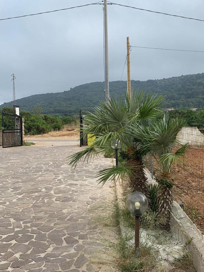 B&B Due Coste Porto Conte Εξωτερικό φωτογραφία